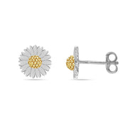 Dual Tone Statement Studs