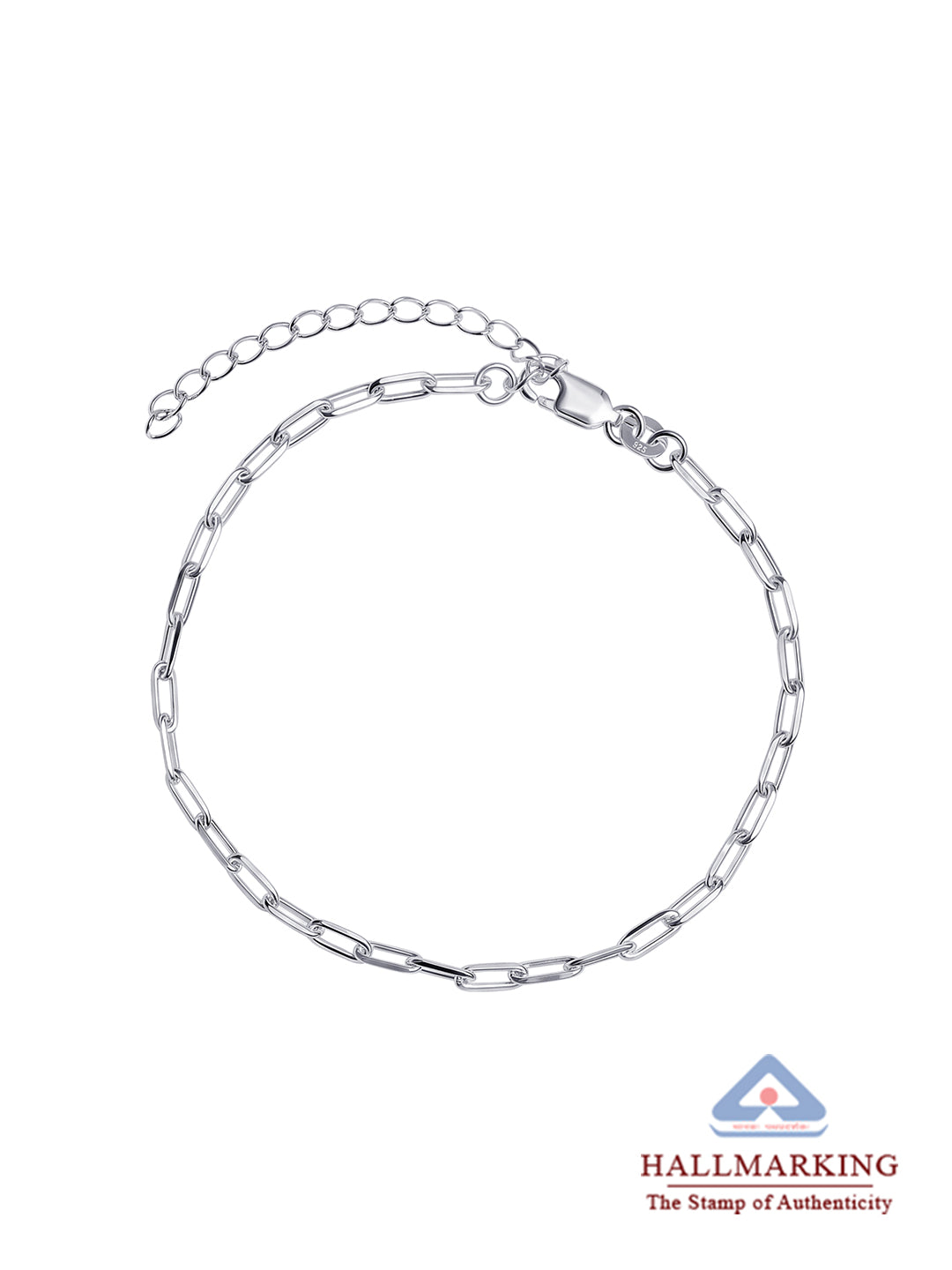 Silver Chain Anklet