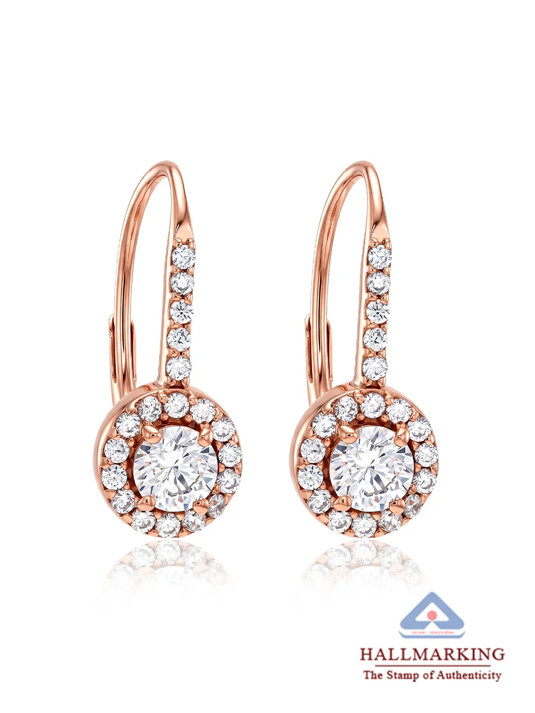 Rose Gold Lever Back Earrings