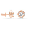 925 Sterling Silver Post Brilliant Round Cubic Zirconia Halo Earrings for Teen Women