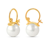 Gold Drop Hoop Earrings