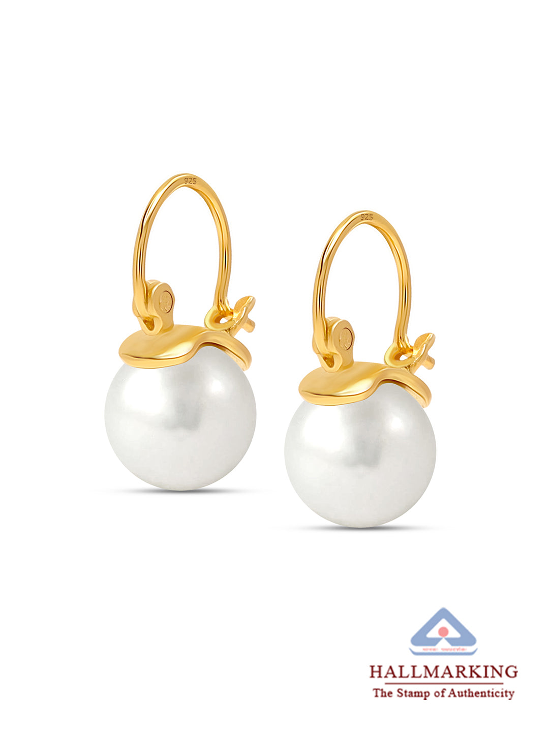 Gold Drop Hoop Earrings