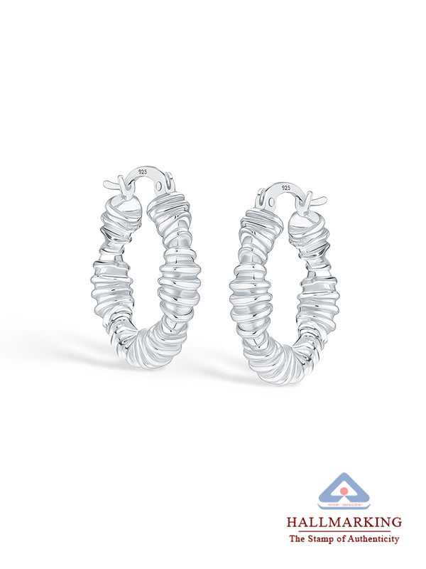 Charming Twisted Round Hoop Earrings
