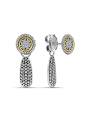 Dual Tone Dangle Earrings