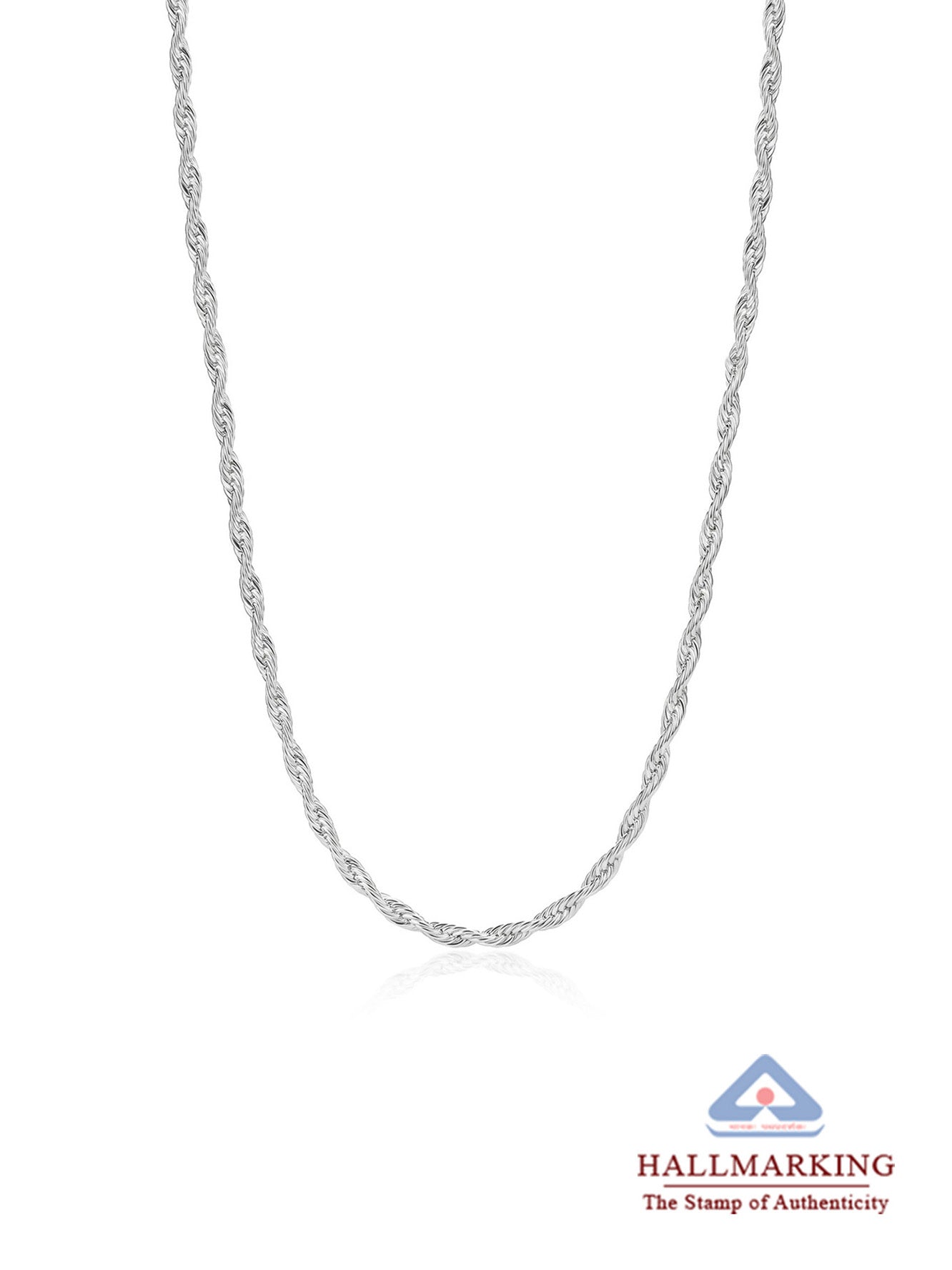 Silver Long Chain Necklace