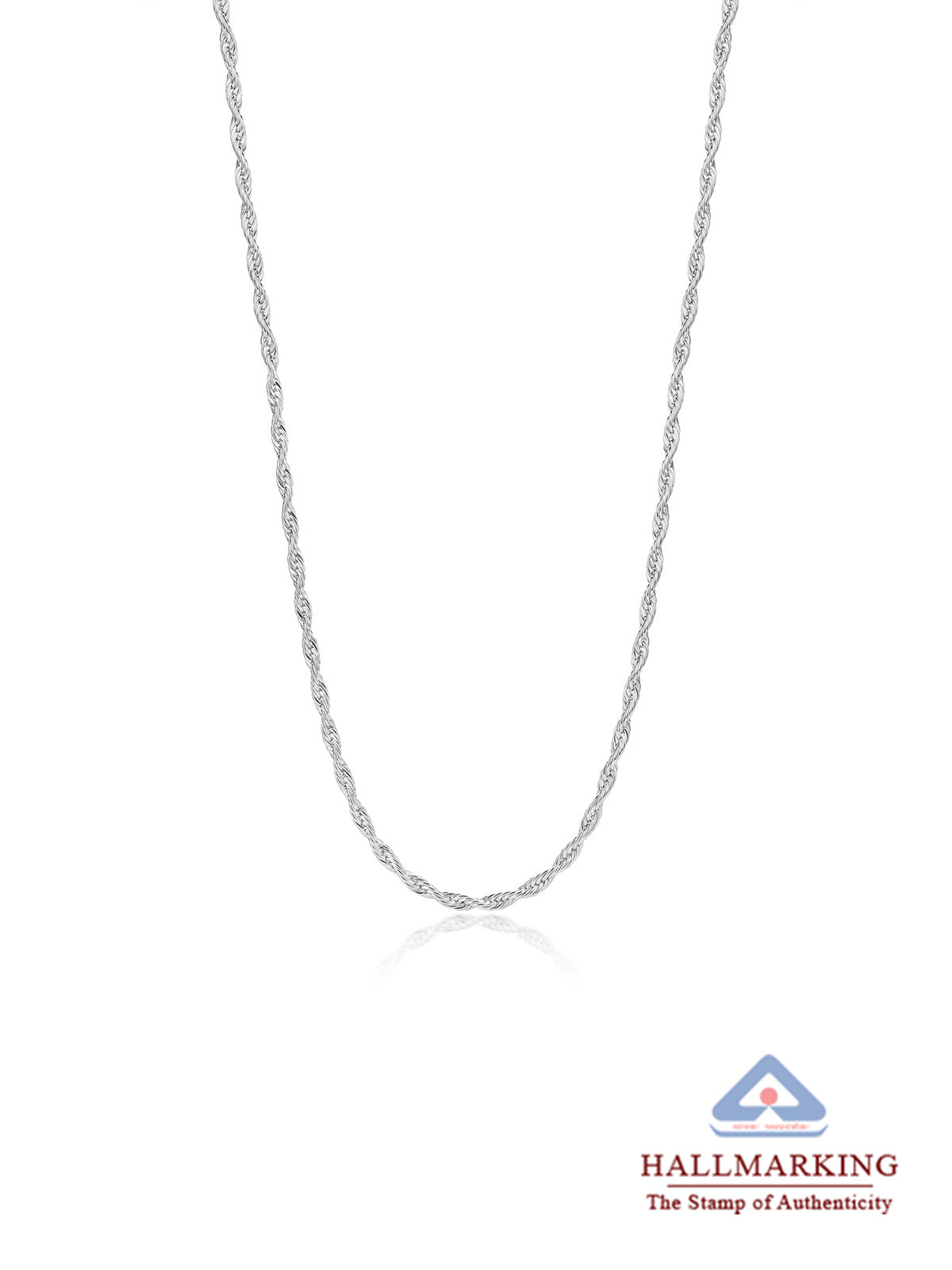 Silver Long Chain Necklace
