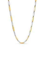 Caelia Dual Tone Statement Choker Necklace for Women