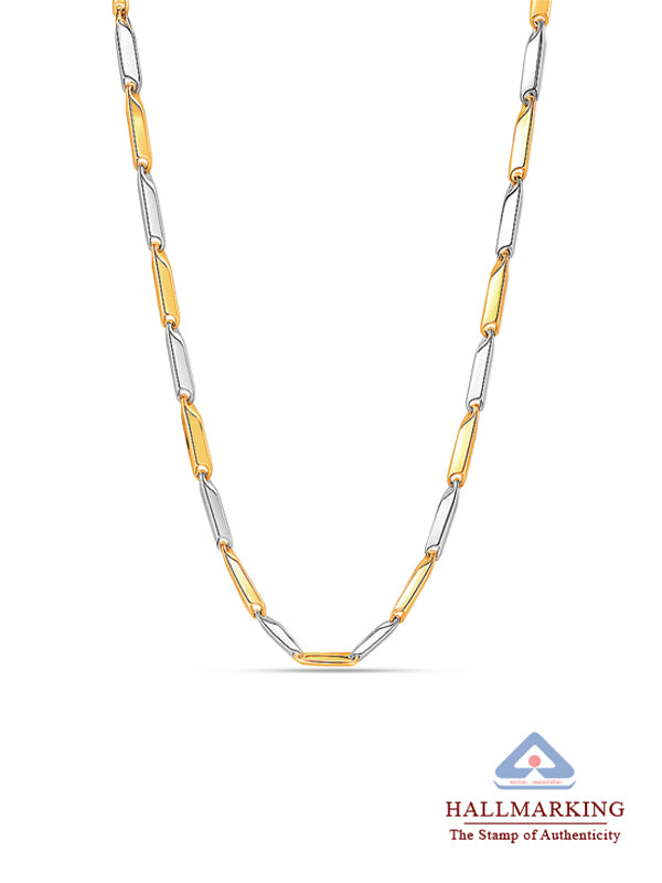 Caelia Dual Tone Statement Choker Necklace for Women