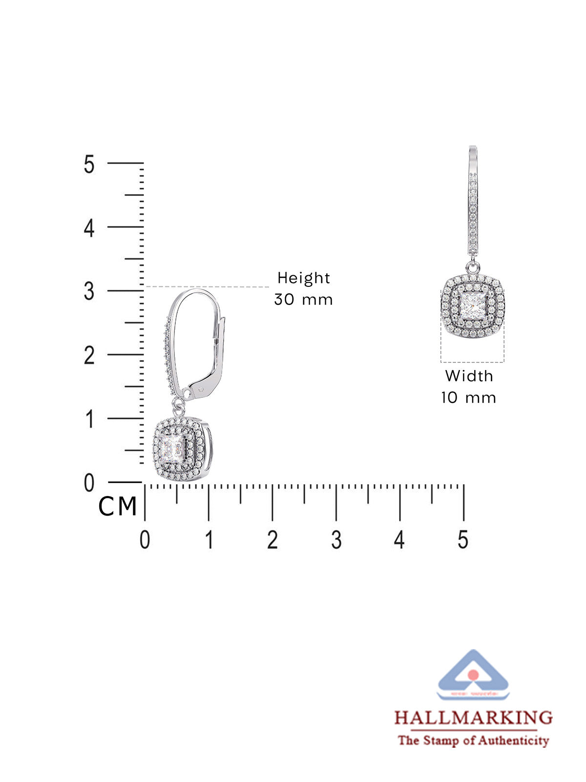 Aureola Double Halo CZ Leverback Women's Earrings