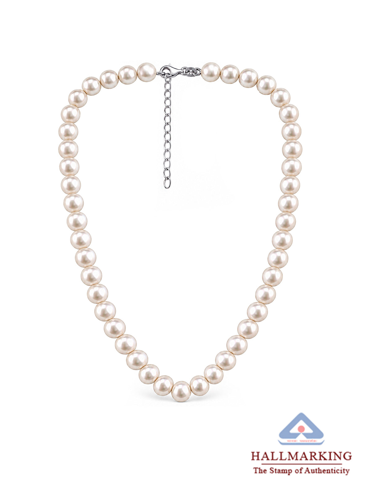 Silver Elegance Fancy Necklace