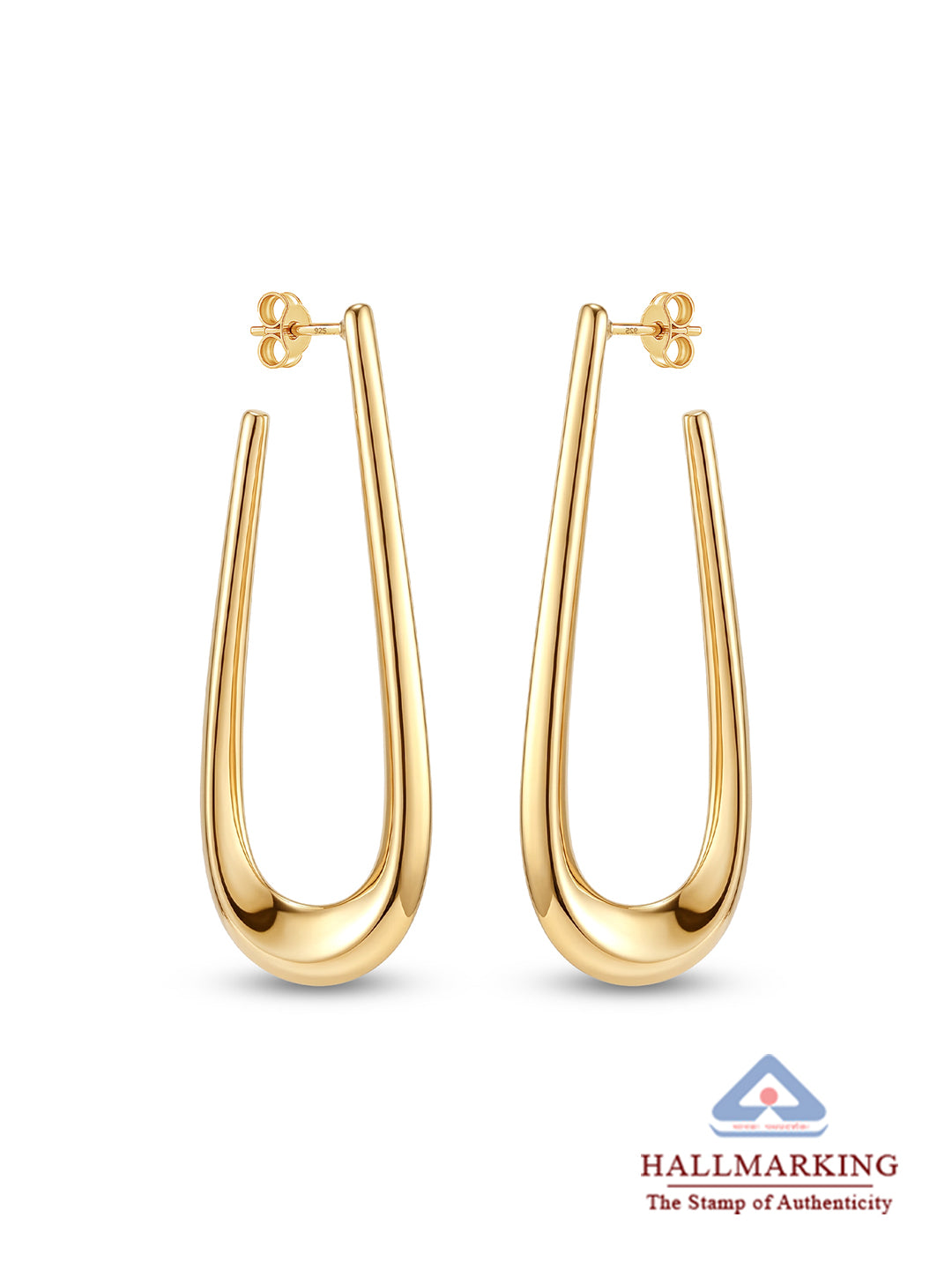 Valencia Bold Flash Arc Dangler Earring