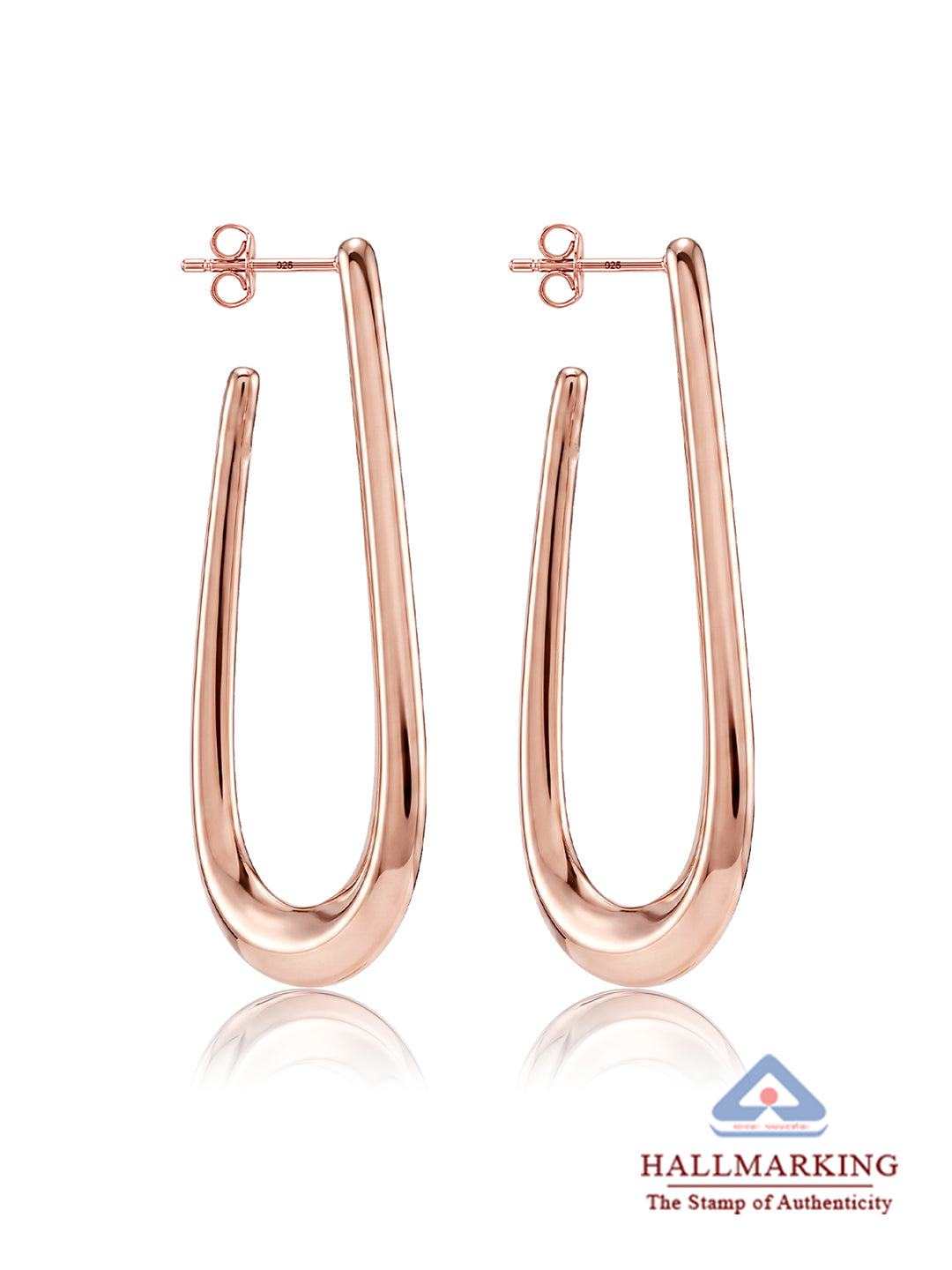 Valencia Bold Arc Dangler Earring