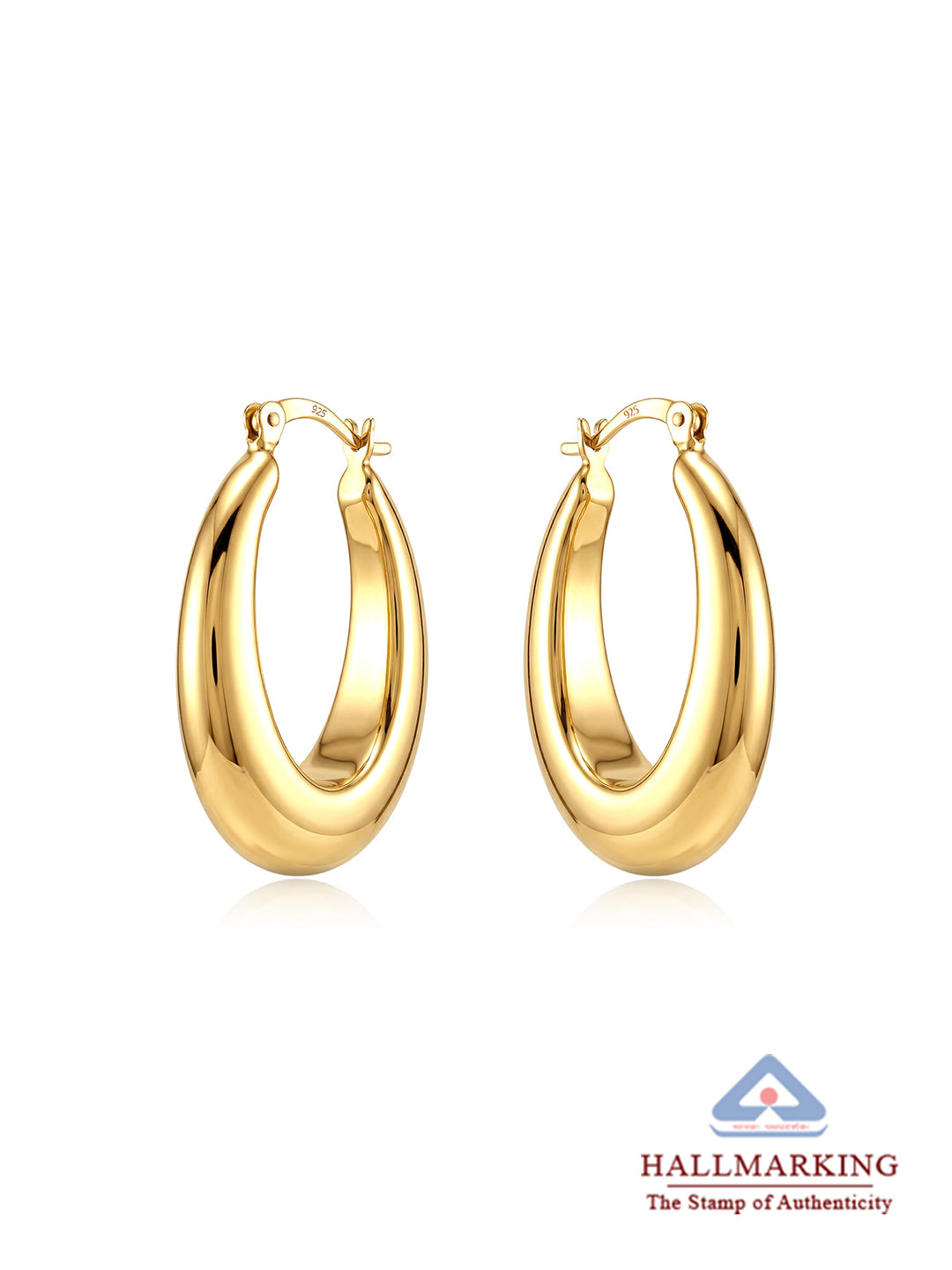 Gold Classic Hoop Earrings