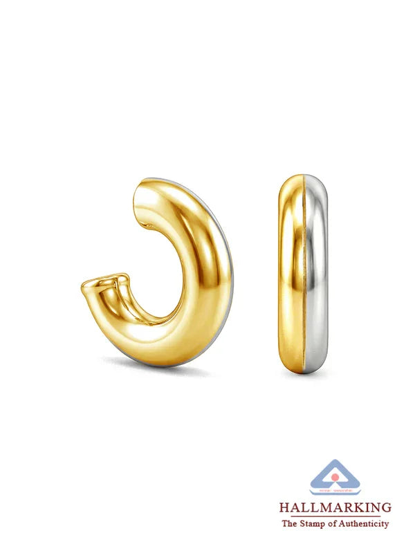 Dual Tone Hoop Earrings for Women