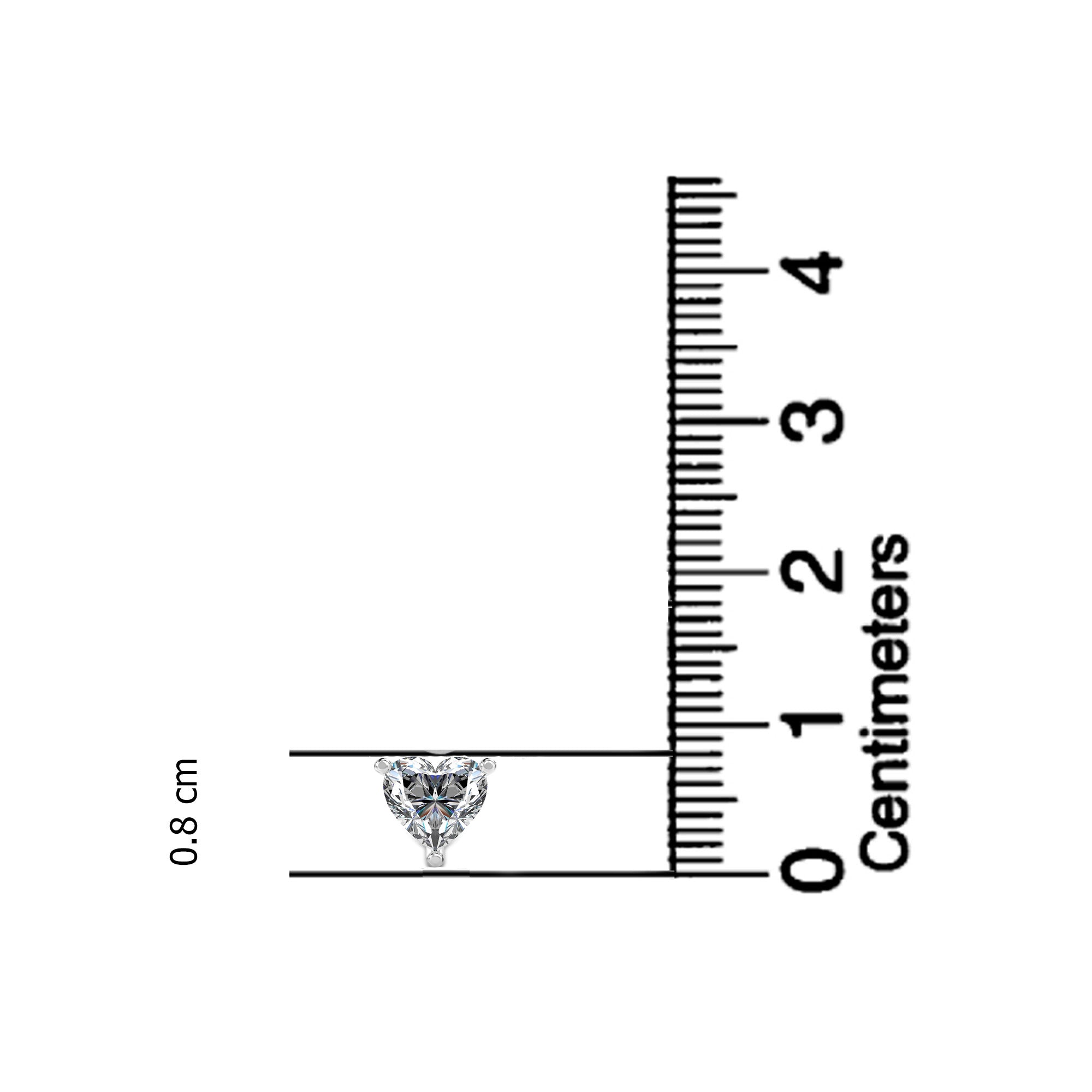 Silver Stud Earrings